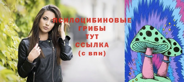 меф Нягань